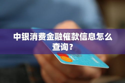 中銀消費(fèi)金融催款信息查詢指南及經(jīng)濟(jì)信息咨詢服務(wù)解析